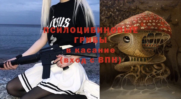 крисы Богданович